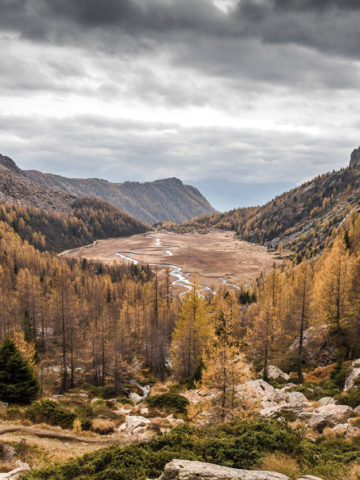 5 Best Trout Fishing Spots in the World