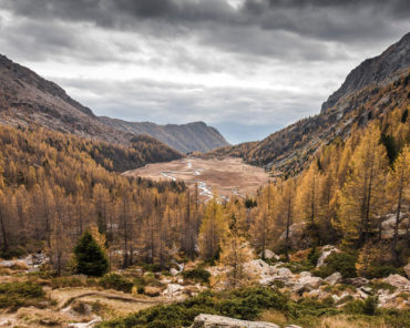 5 Best Trout Fishing Spots in the World