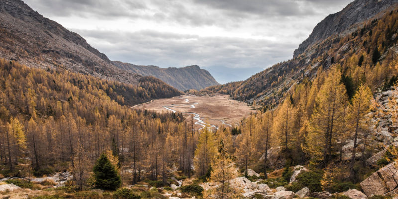 5 Best Trout Fishing Spots in the World