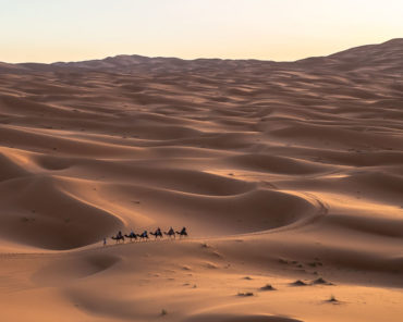 The Most Radical Guides in America?