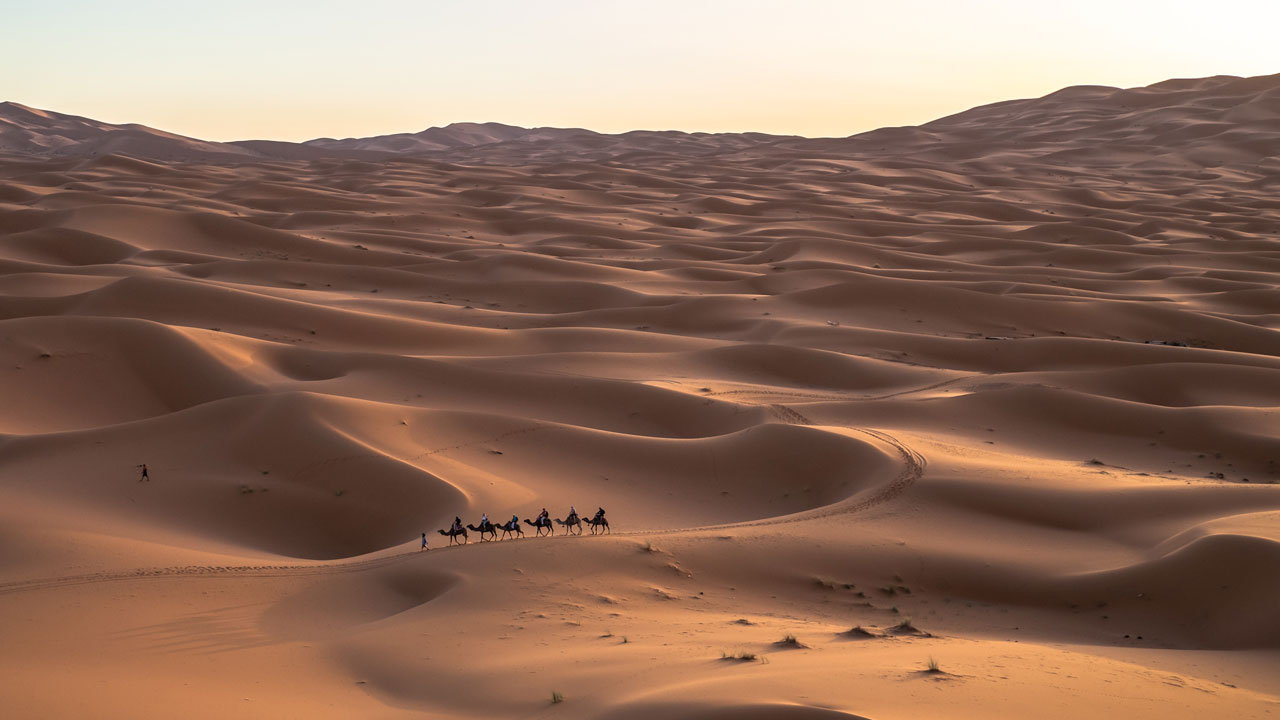 The Most Radical Guides in America?