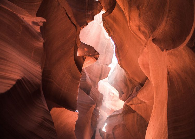 Being Compassionate: Knowing the Difference